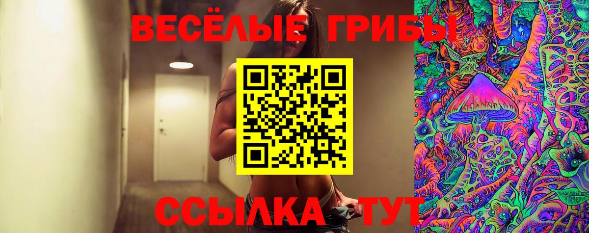 Куйбышев  цены   Вход с VPN  Галлюциногенные грибы MAGIC MUSHROOMS 