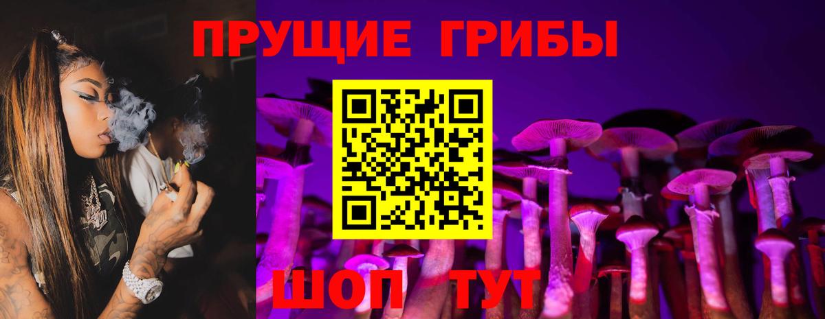 Псилоцибиновые грибы мухоморы Куйбышев